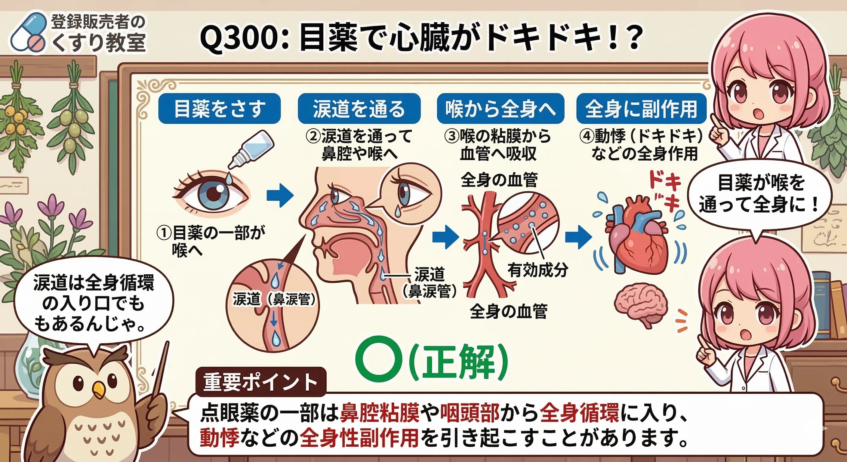 Q300の解説図解
