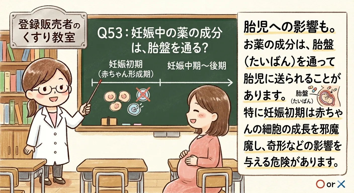 Q53の解説図解